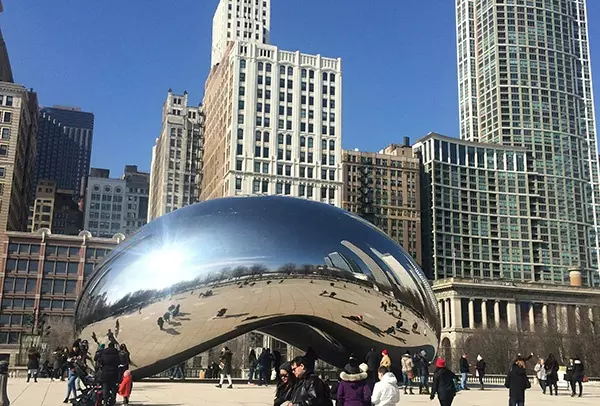 Silver bean in Chicago, IL