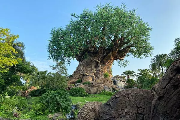 Tree of life in Disney's Animal Kingdom